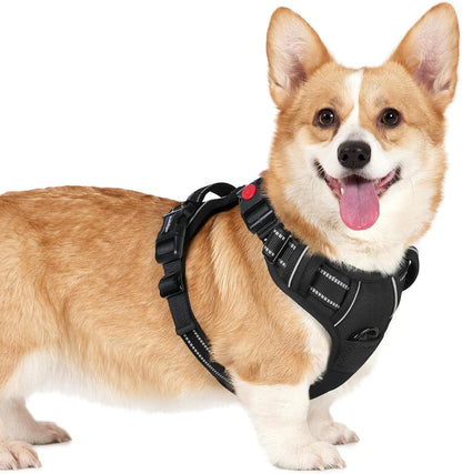 rabbitgoo Dog Harness Small Sized, No Pull Pet Harness with 3 Buckles, Adjustable Soft Padded Vest