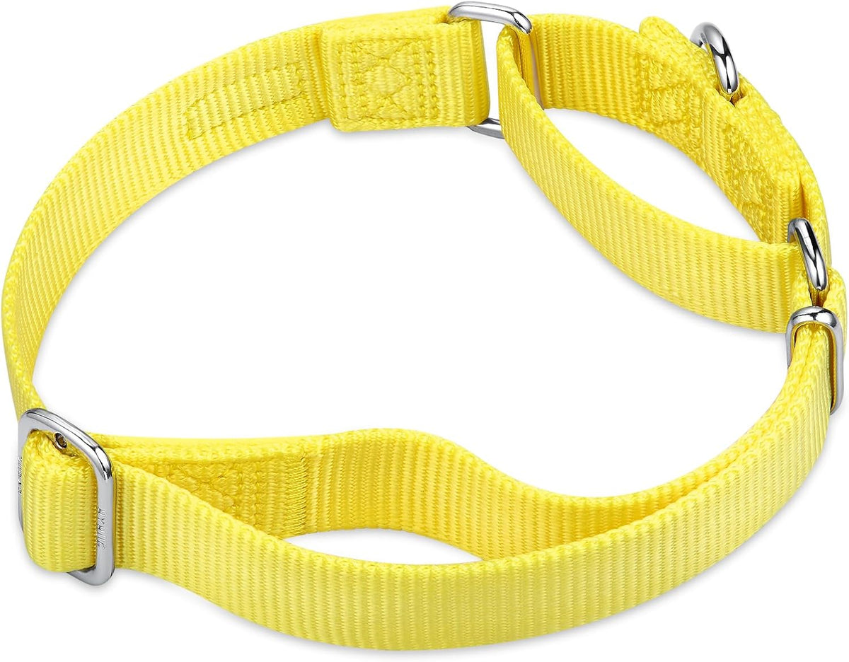 Hyhug Pets Premium Upgraded Heavy Duty Nylon Anti-Escape Pup Martingale Collar for Boy and Girl
