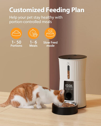 Petory Timed Automatic Cat Feeders - 4L Programable Dry Food Dispenser for Cats and Small Medium