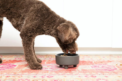 Waggo Uplift Ceramic Dog Bowl for Small Medium and Large Breeds - Heavyweight and Durable Pet Food