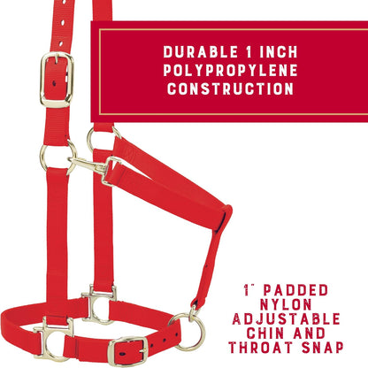 Weaver Leather Nylon Horse Halter, Padded and Adjustable, Chin and Throat Snap Hook Halters for