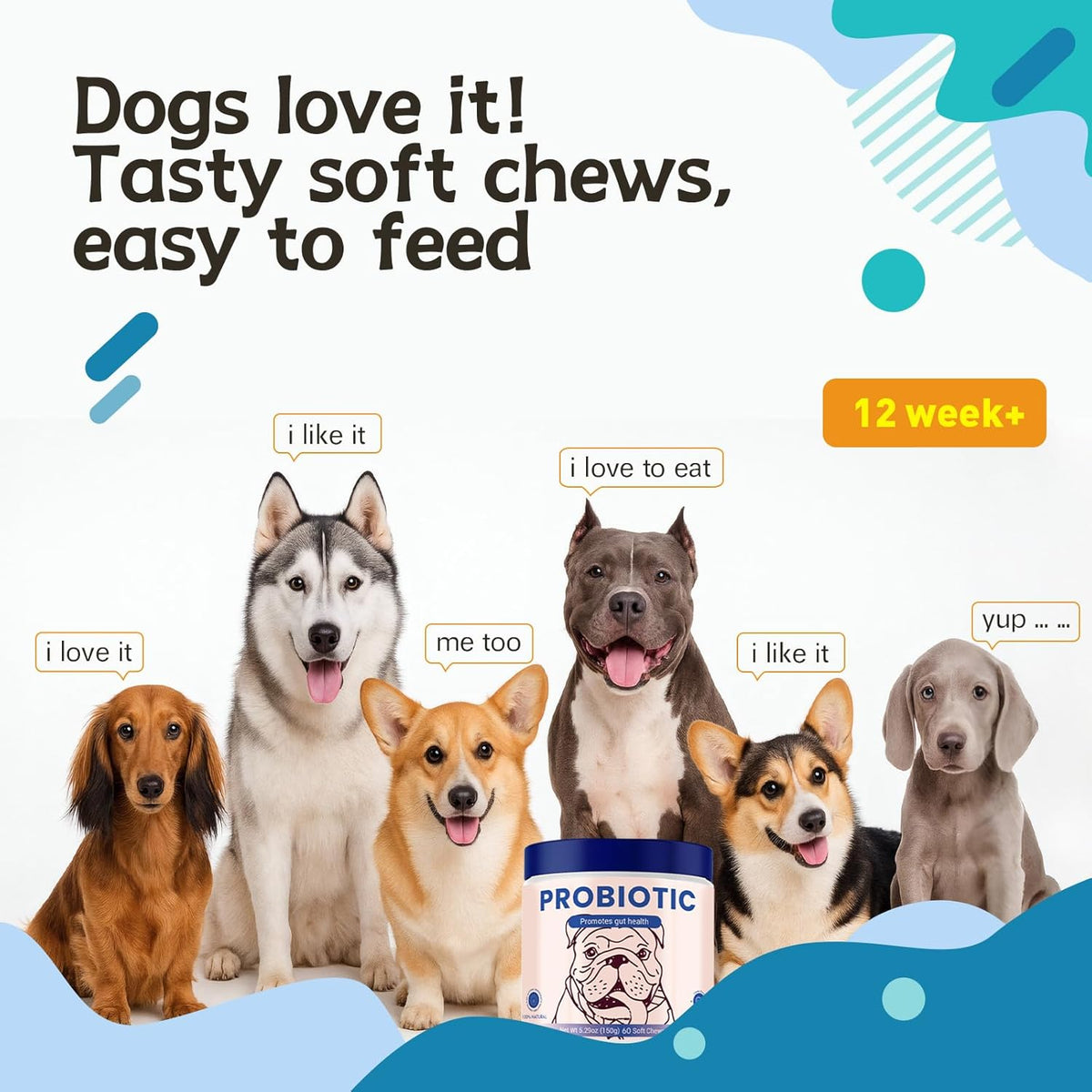 Probiotics for Dog,Support Gut Health,Probiotics for Digestive Health,Digestive Health & Seasonal