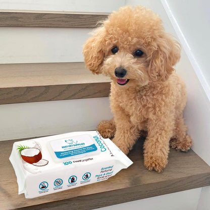 Best Pet Supplies Pet Grooming Wipes for Dogs & Cats,Deodorizer for Coats & Dry, Itchy, or