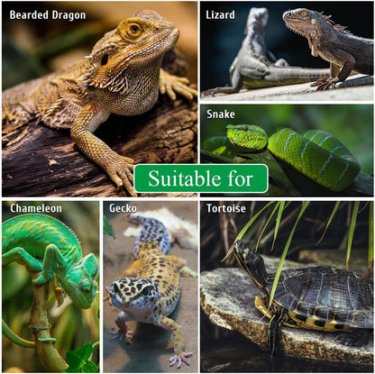Turtle Basking Platform Large Tortoise Dock Resting Rock Turtle Climbing Ramp Shale Step Ledge