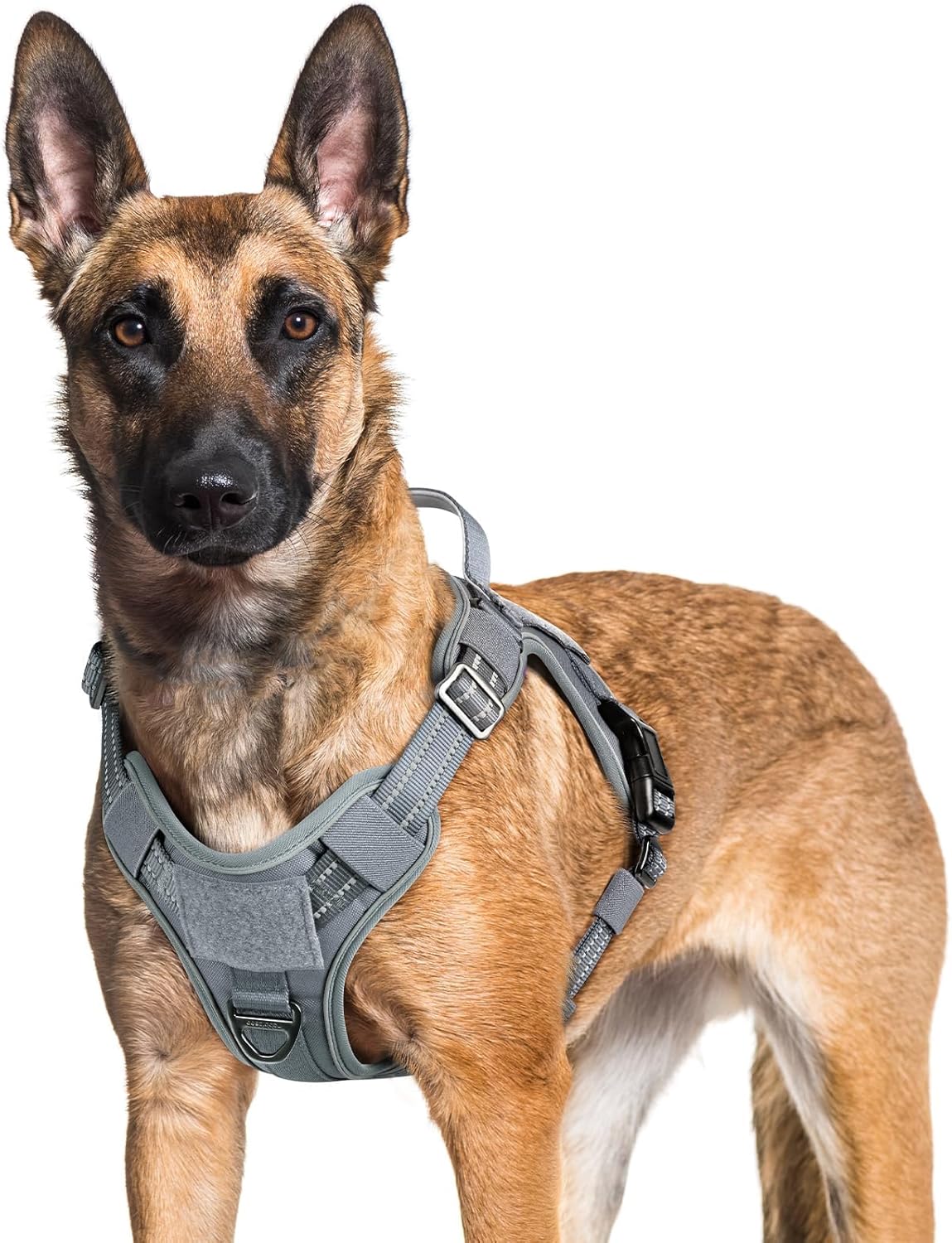 rabbitgoo Dog Harness for Large Dogs No Pull, Tactical Service Pet Vest with Molle and Control