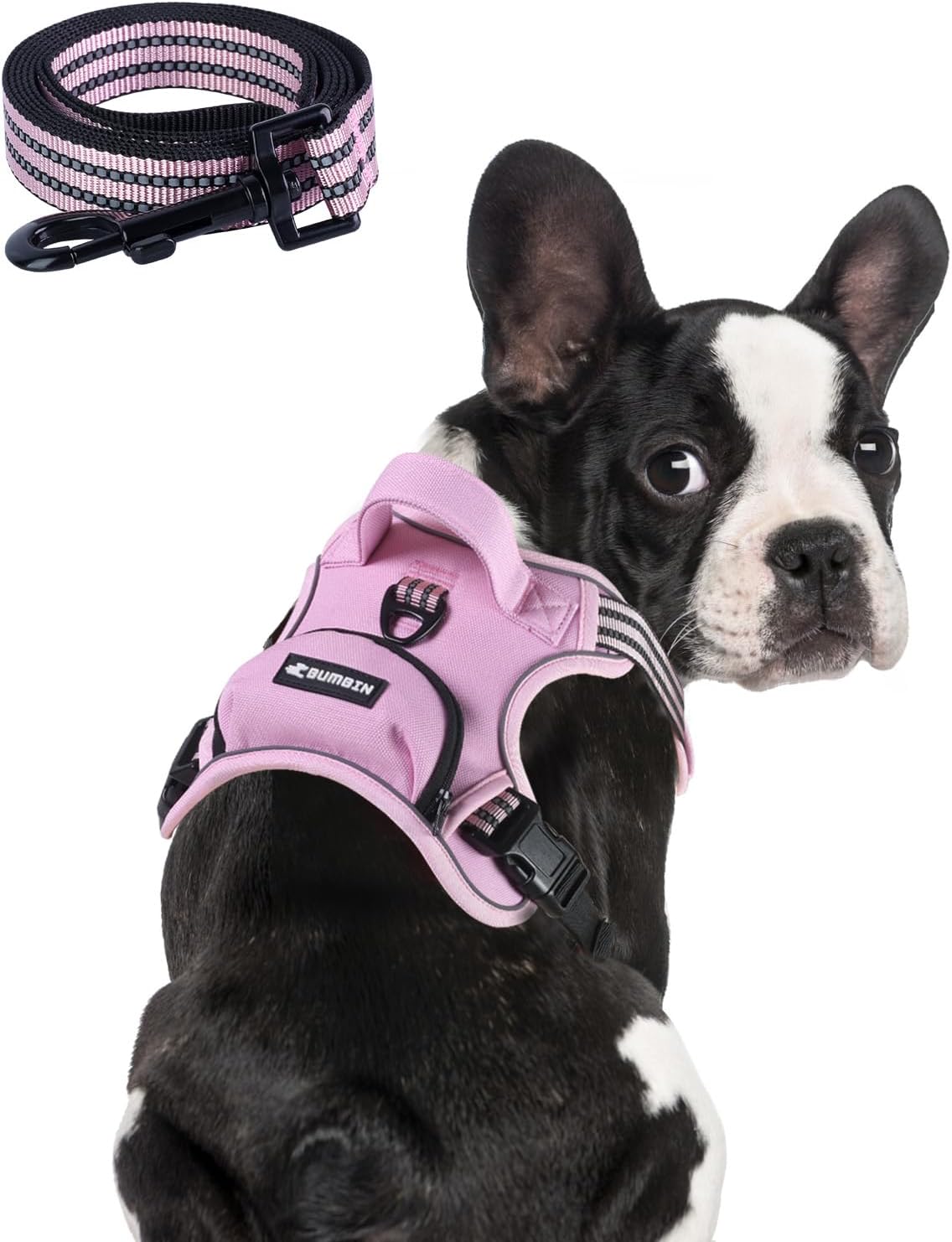 BUMBIN Dog Harness for Large Dogs, No Pull Adjustable No Choke Pet Vest with Dog Leash Fit Smart
