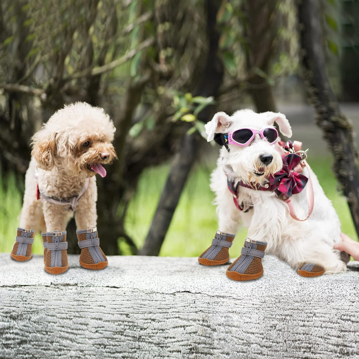 Dog Shoes for Small Dogs, Puppy Dog Boots & Paw Protector for Winter Snow Day, Summer Hot Pavement