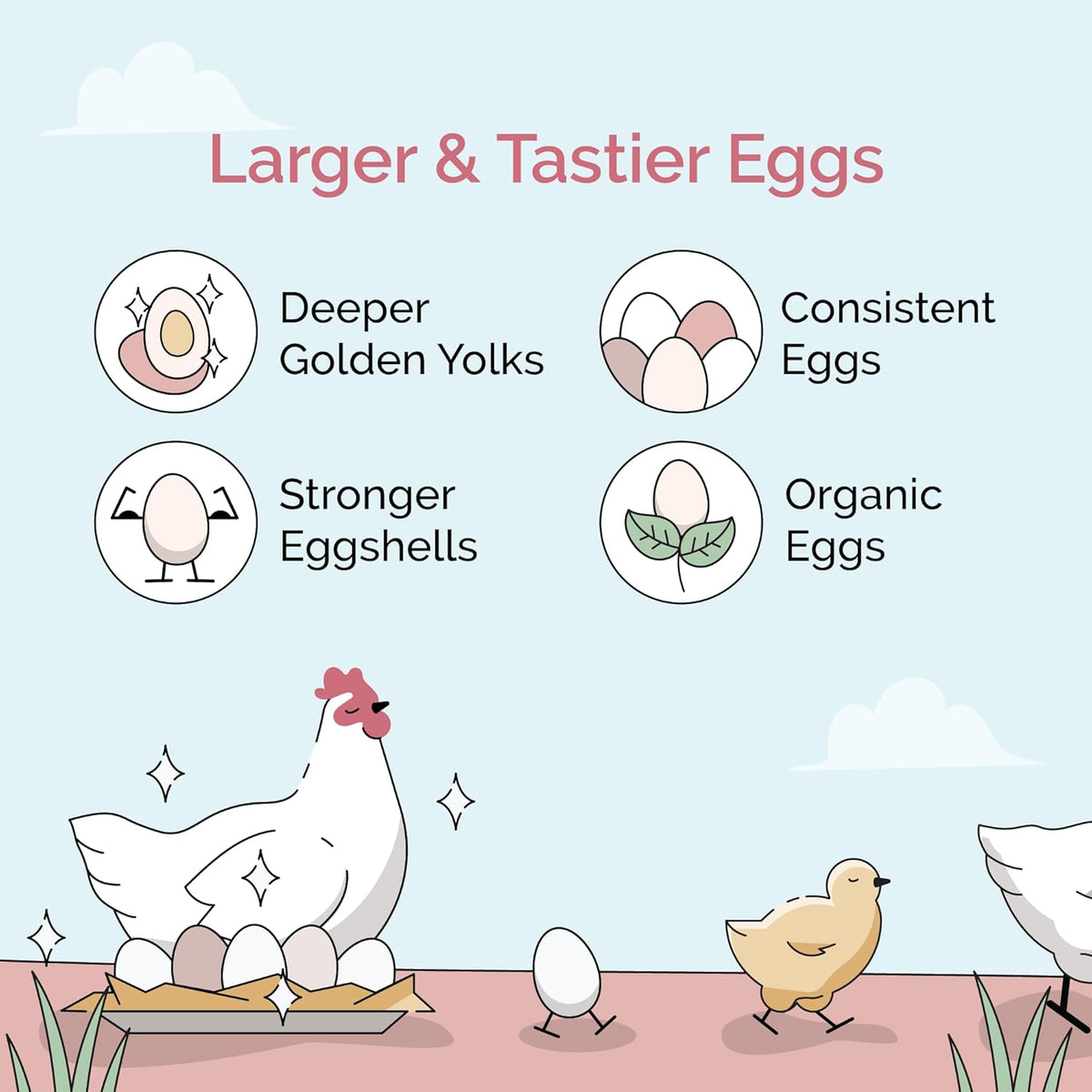 Organic Chicken Feed – Layer Mash, Non-GMO, USA Grown, 16% Protein, Corn-Free, Soy-Free