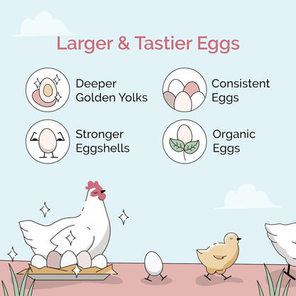 Organic Chicken Feed – Layer Mash, Non-GMO, USA Grown, 16% Protein, Corn-Free, Soy-Free