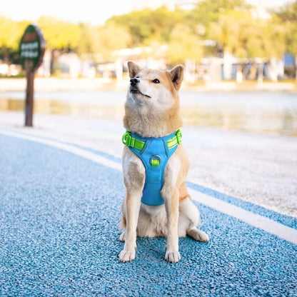 PHOEPET No Pull Dog Harness, Unique Colors Reflective Adjustable Dog Vest, with Soft Training