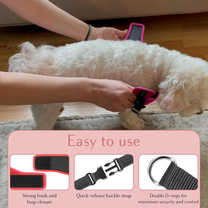 No Pull Dog Harness for Small, Medium & Large Dogs – Soft Padded, Adjustable Step-in Pet Vest with