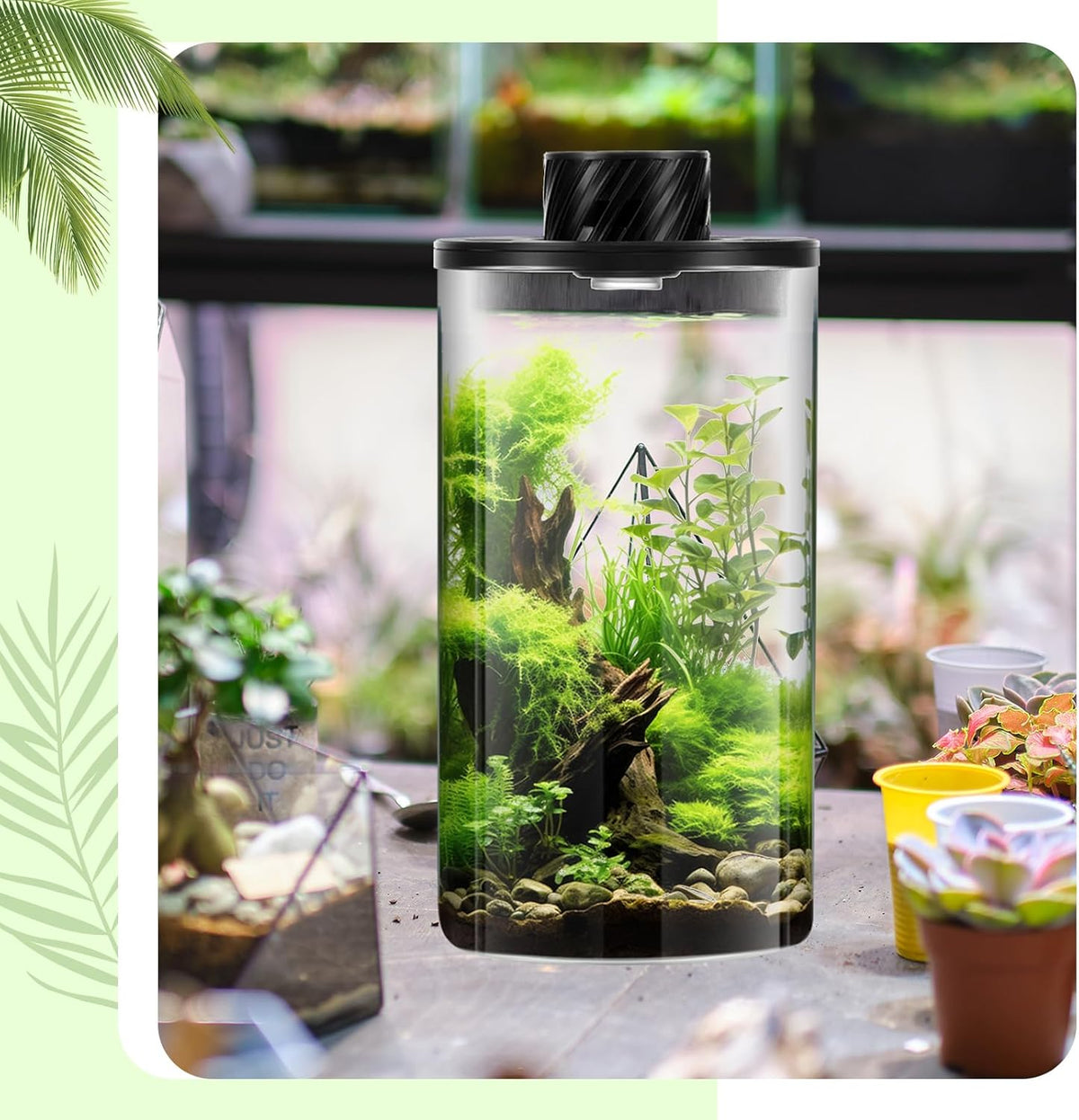 Maxdot Glass Plant Terrarium Kit with Light for Succulent, Moss, Miniature Gardening Landscape