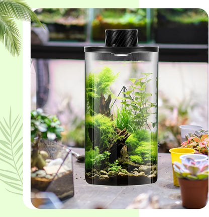 Maxdot Glass Plant Terrarium Kit with Light for Succulent, Moss, Miniature Gardening Landscape