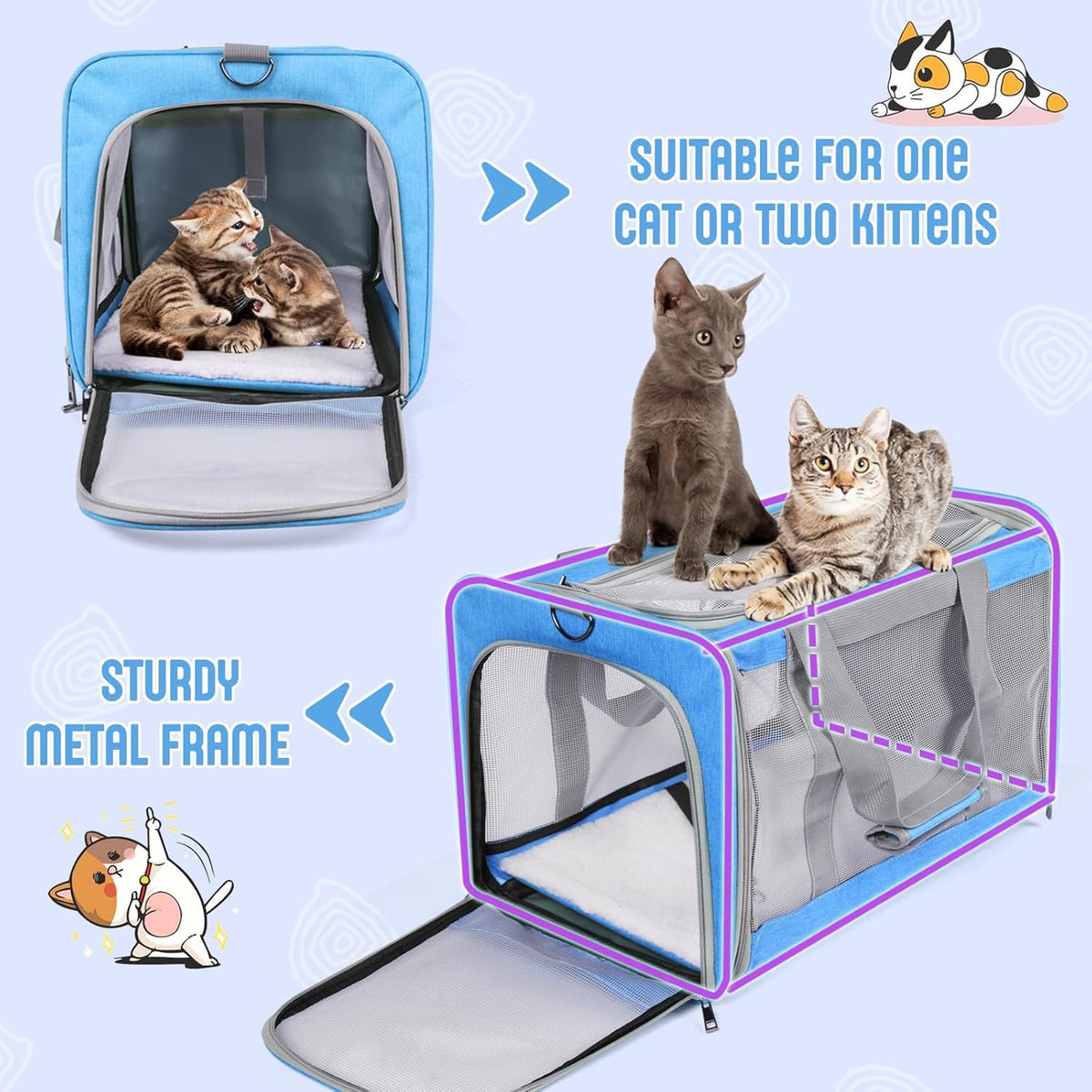 Pet Carrier for Large Cats of 20 Lbs, Collapsible Carrier Bag for Big Cat or 2 Kittens,Soft Sided