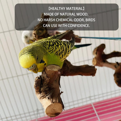 5PCS Bird Perch Stand Natural Wooden Parrot Stand Branch,3 Grape Wood Perch,2 Stand,Paw Grinding