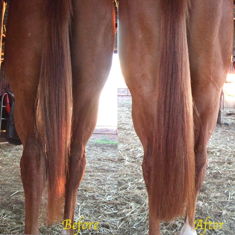 Horse Tail Extensions with Braided Horsehair Loop, Blunt Cut Bottom, 28-30 inches Long and 3/8 lb