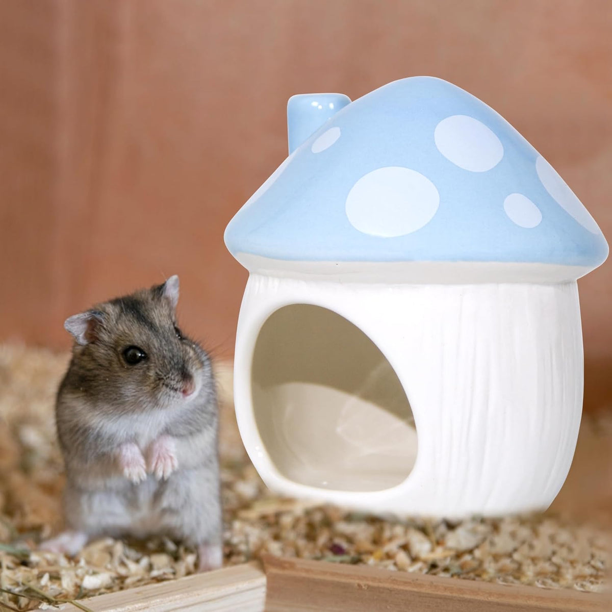 Ceramic Mushroom Hamster Hideout - Hamster Habitat for Hamsters Chinchillas Hedgehogs and Gerbils