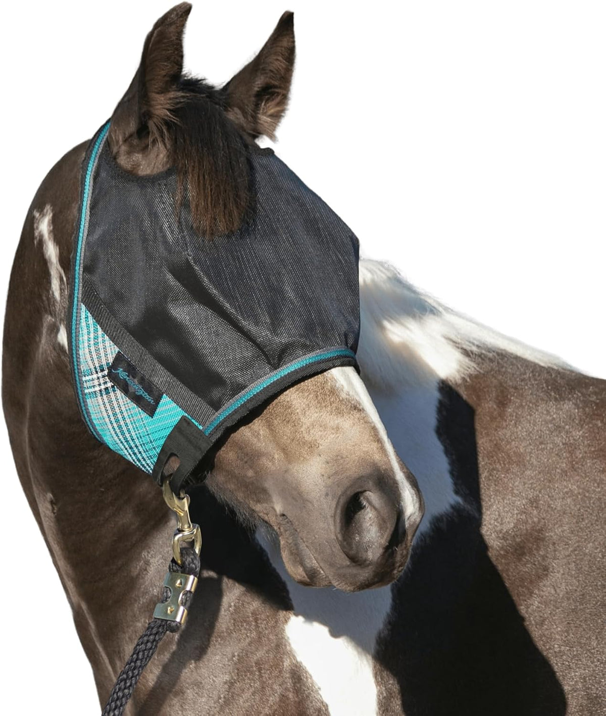 Kensington 90% UV Fly Mask Halter CatchMask UViator - Without Ears & Forelock Freedom Web Trim