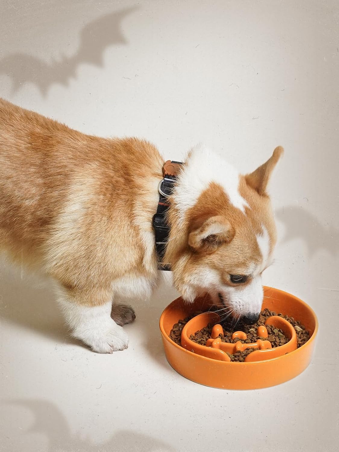 LE TAUCI Ceramic Slow Feeder Dog Bowls Small Breed, 0.6 Cups Dog Food Dish for Fast Eaters, Puzzle