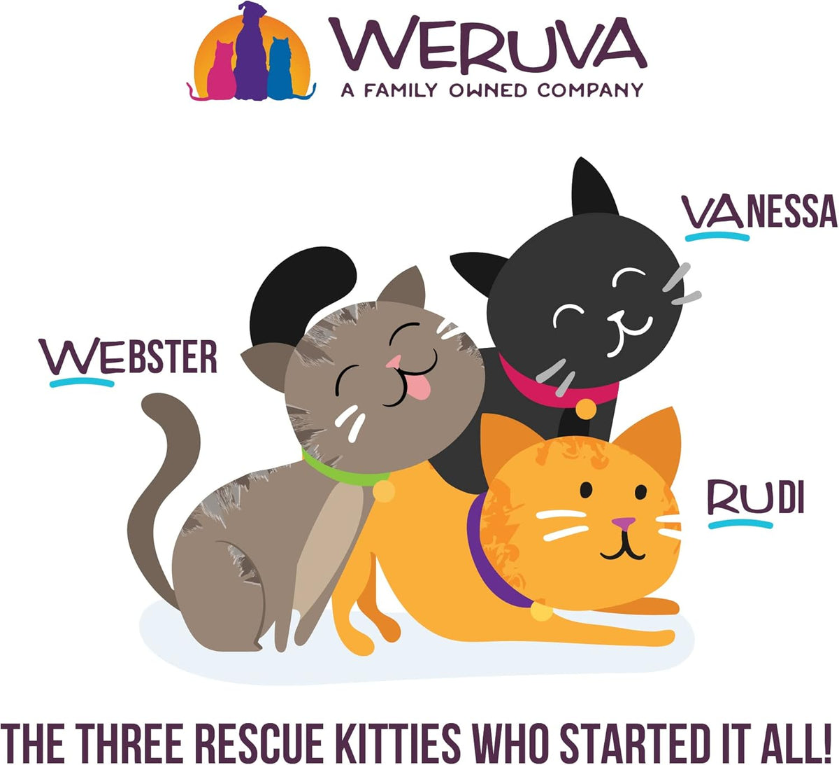 Weruva B.F.F. Play - Best Feline Friend Paté Lovers, Aw Yeah!, Salmon & Tuna Tuck Me in with Salmon