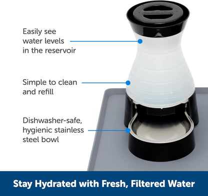 PetSafe Healthy Pet Water Station - Medium, 128 oz Capacity - Gravity Pet Water Fountain, Automatic