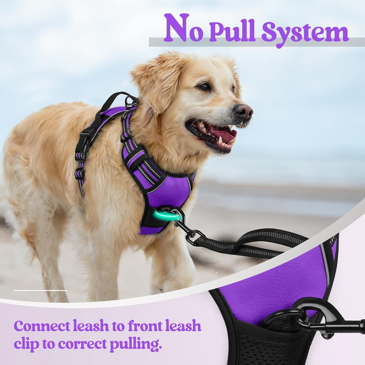 rabbitgoo Dog Harness No Pull with 2 Leash Clips, Adjustable Soft Padded, Reflective Oxford No