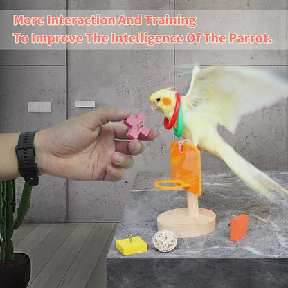 Bird Toys For Parakeets,5pcs Parrot Toys Set （Include Bird Basketball Toy、Bird Skateboard、Bird