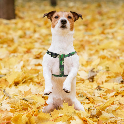 PUPTECK No Pull Dog Harness Soft Adjustable Basic Nylon Step in Puppy Vest Outdoor Walking with ID