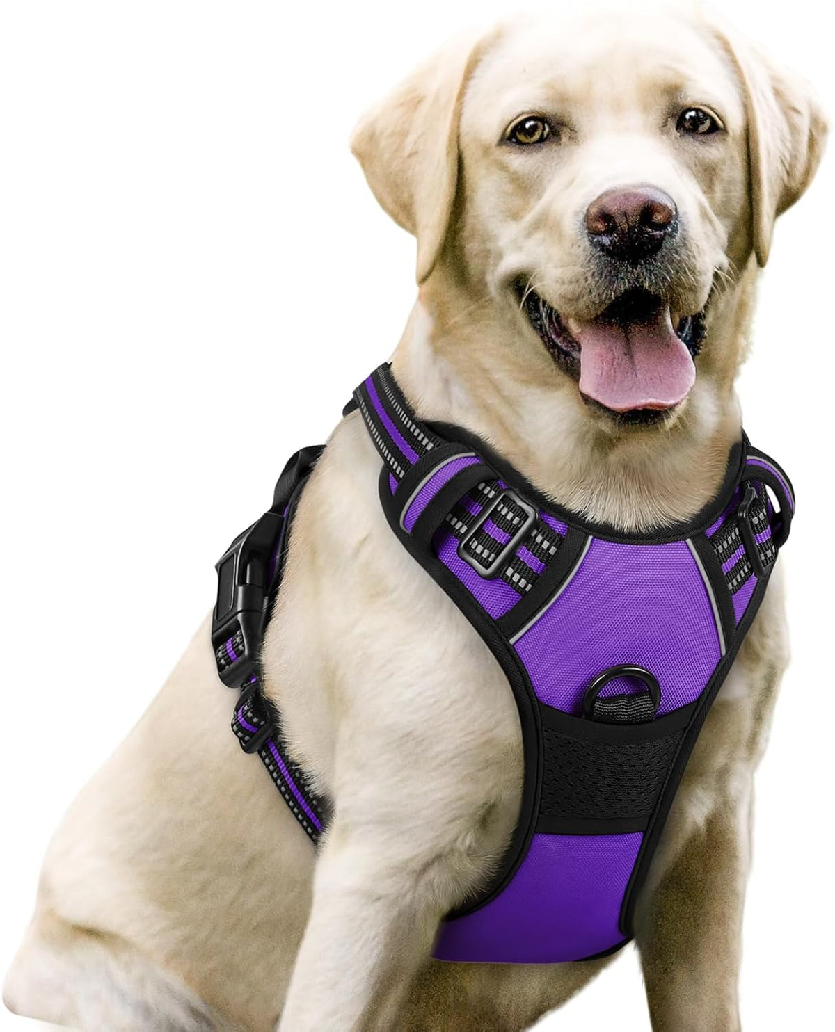 rabbitgoo Dog Harness, No-Pull Pet Harness with 2 Leash Clips, Adjustable Soft Padded Dog Vest