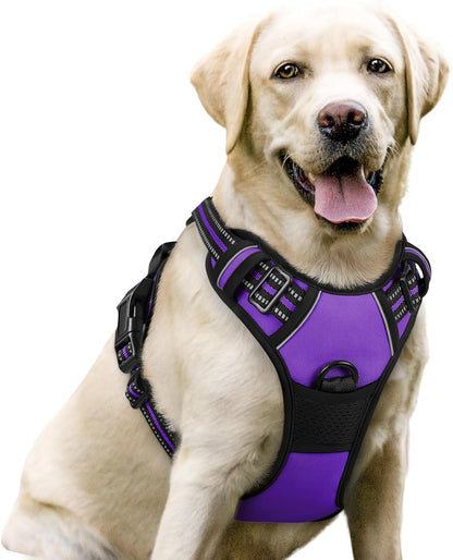 rabbitgoo Dog Harness, No-Pull Pet Harness with 2 Leash Clips, Adjustable Soft Padded Dog Vest