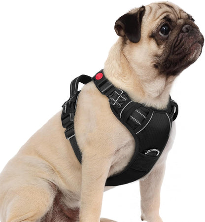 rabbitgoo Dog Harness Small Sized, No Pull Dog Vest with 3 Buckles, Adjustable Soft Padded Pet