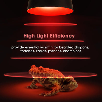 Briignite Reptile Heat Lamp Red, Reptile Night Lamp 50W, G9 Heat Bulb & Dome Reptile Light Fixture