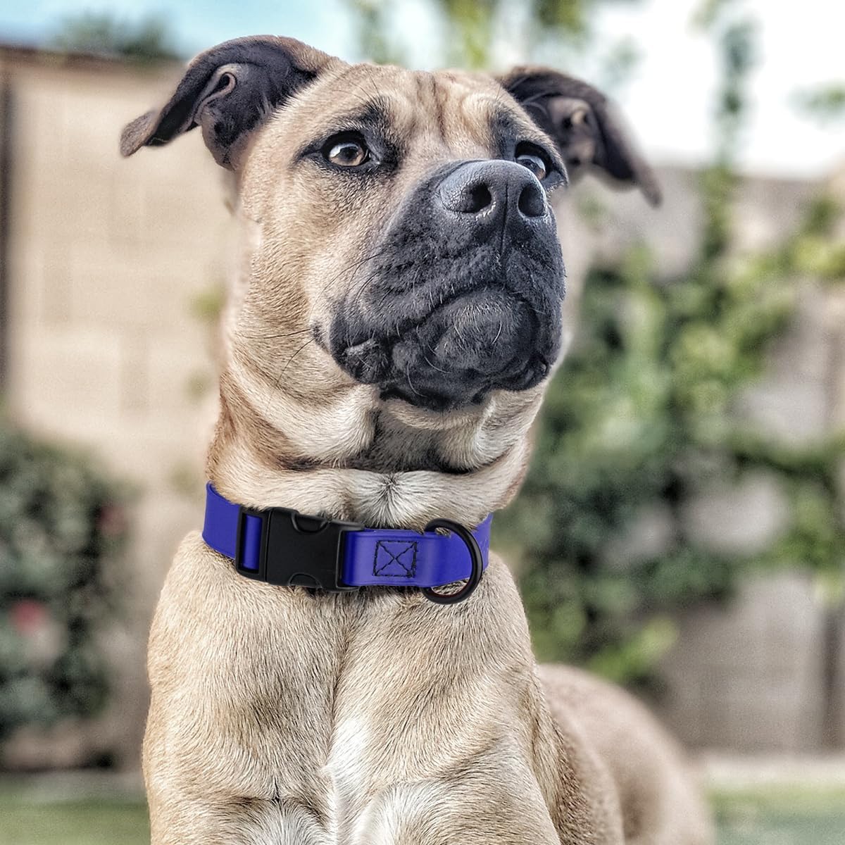Dogline Biothane Waterproof Dog Collar with Quick Release Buckle Strong Coated Nylon Webbing with