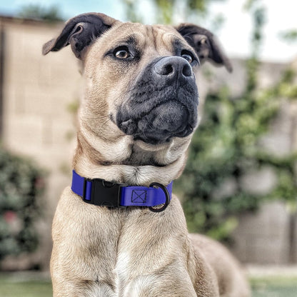 Dogline Biothane Waterproof Dog Collar with Quick Release Buckle Strong Coated Nylon Webbing with