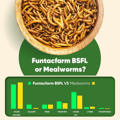 2LB Dried Black Soldier Fly Larvae for Chicken, Dried Mealworms Premium Grade High Protein Chicken