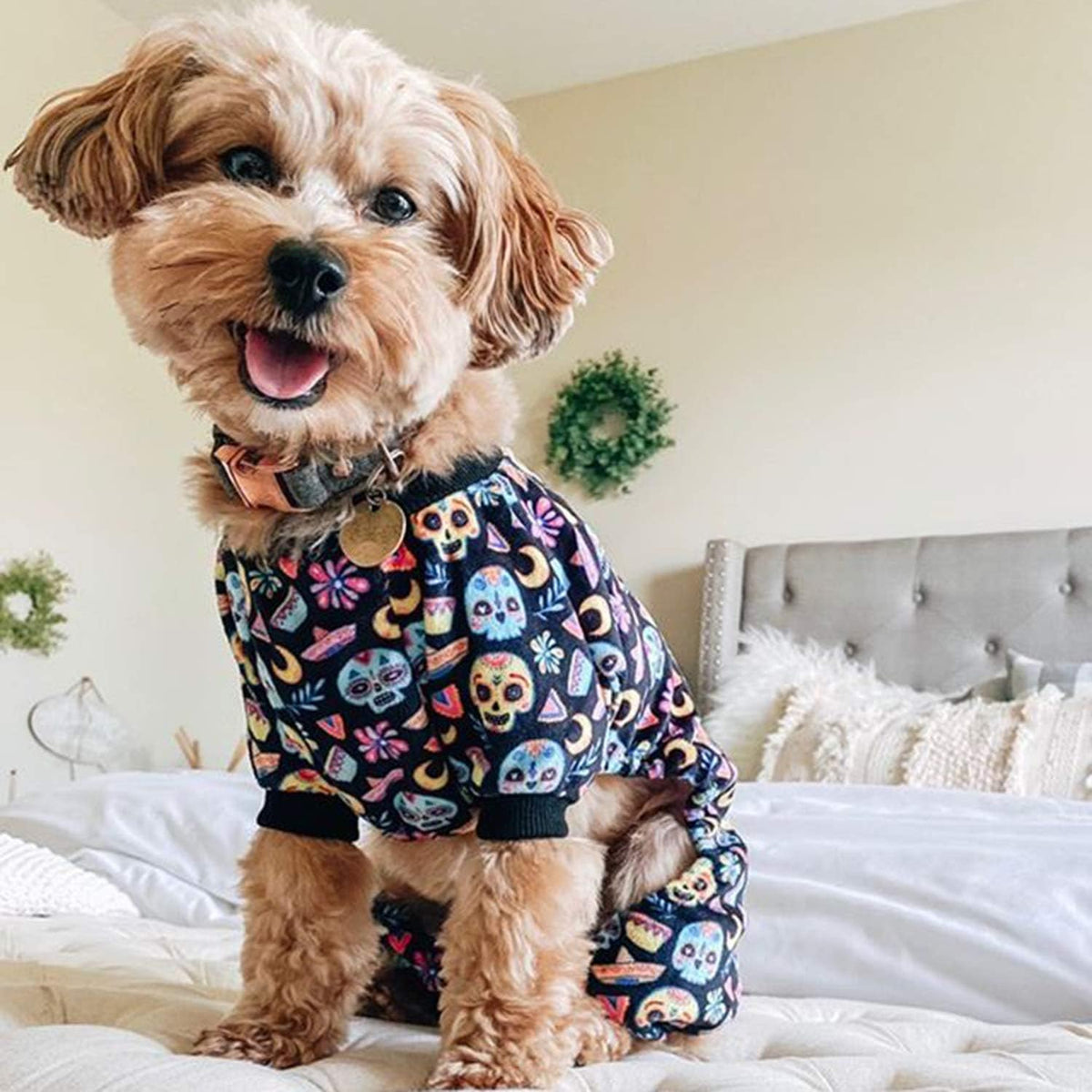 CuteBone Small Dogs Outfit Soft Puppy Onesies Pjs Dog Pajamas Pet Coat Cat Apparel Comfy Doggie
