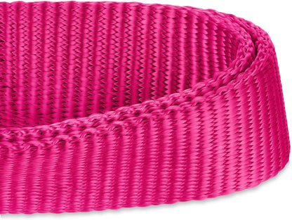 Hyhug Pets Solid Color Classic Regular Heavy Duty Basic Collar for Medium Dogs, Unique Design