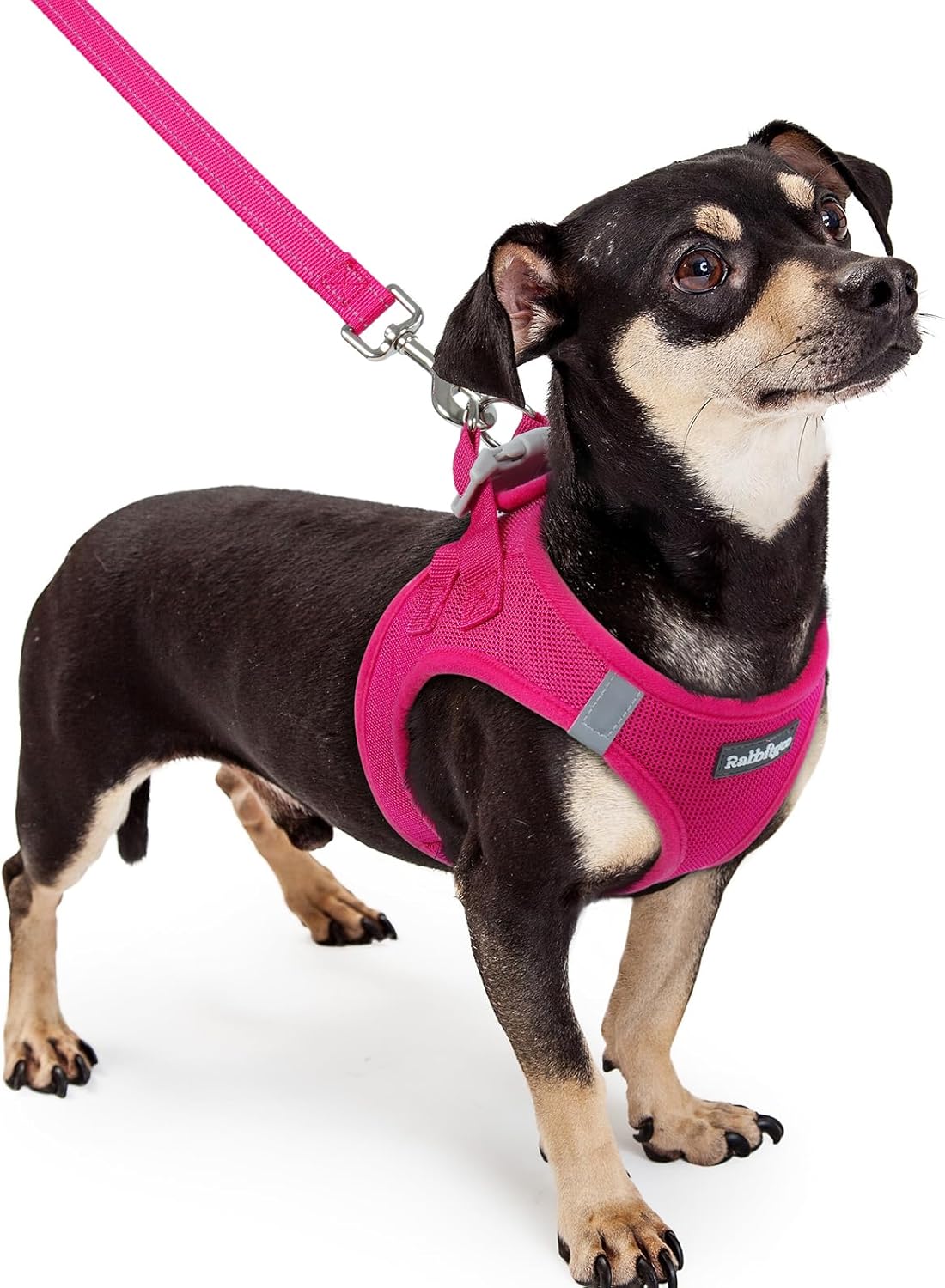 rabbitgoo Dog Harness Small Sized and Leash Set, Step in Soft Light Puppy Vest, Breathable Mesh Pet