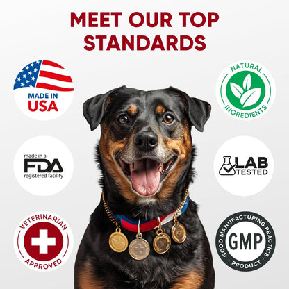 Probiotics for Dogs Digestive Health - Probiotic Chews for Gut Health, Itchy Skin Yeast, Diarrhea