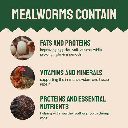 Chicken Feed Dried Mealworms - 5 Lb, Non-GMO & Organic - High-Protein Mealworms for Wild Birds &