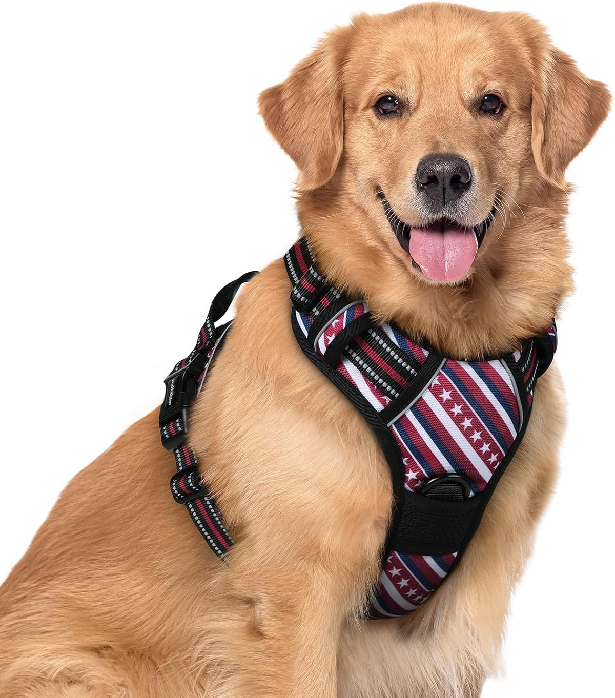 rabbitgoo Dog Harness No Pull with 2 Leash Clips, Adjustable Soft Padded, Reflective Oxford No