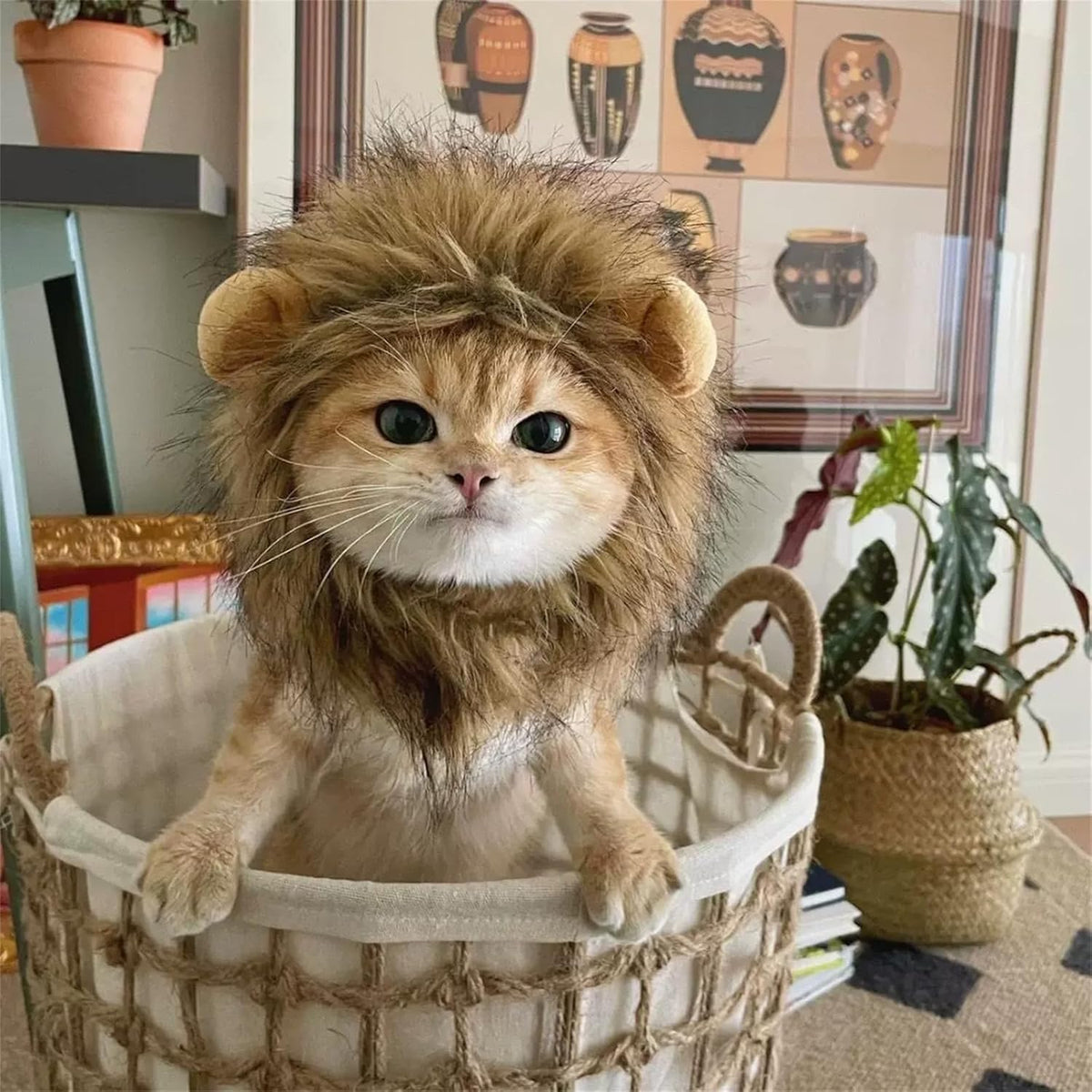 Enjoying Cat Lion Mane Costume, Small Dogs Halloween Outfit, Lion Mane Wig for Cat Cosplay, Kitten