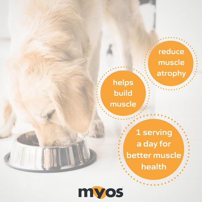MYOS Canine Muscle Formula - All-Natural Muscle Building Supplement - Helps Reduce Muscle Loss in