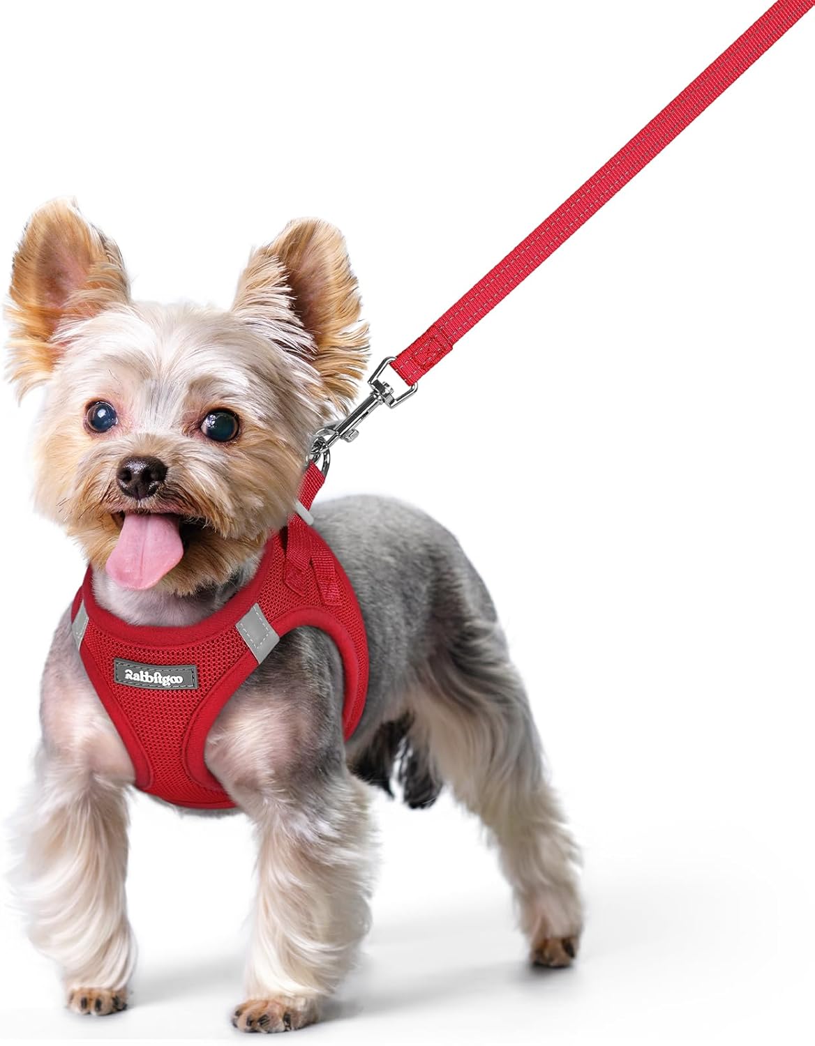 rabbitgoo Dog Harness Small Sized and Leash Set, Step in Soft Light Puppy Vest, Breathable Mesh Pet
