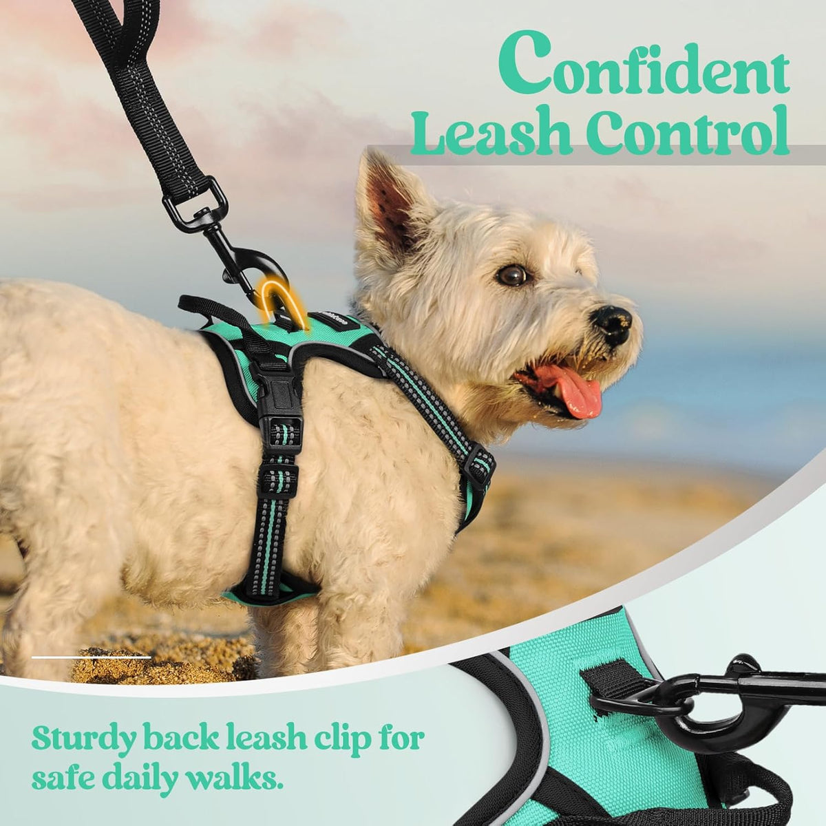 rabbitgoo Dog Harness No Pull with 2 Leash Clips, Adjustable Soft Padded, Reflective Oxford No