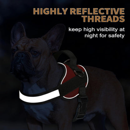 Haapaw Essential Dog Harness, No Pull Pet Vest with 3 Leash Clips, No Choke, Reflective, Adjustable
