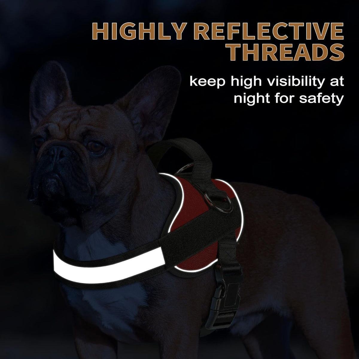 Haapaw Essential Dog Harness, No Pull Pet Vest with 3 Leash Clips, No Choke, Reflective, Adjustable