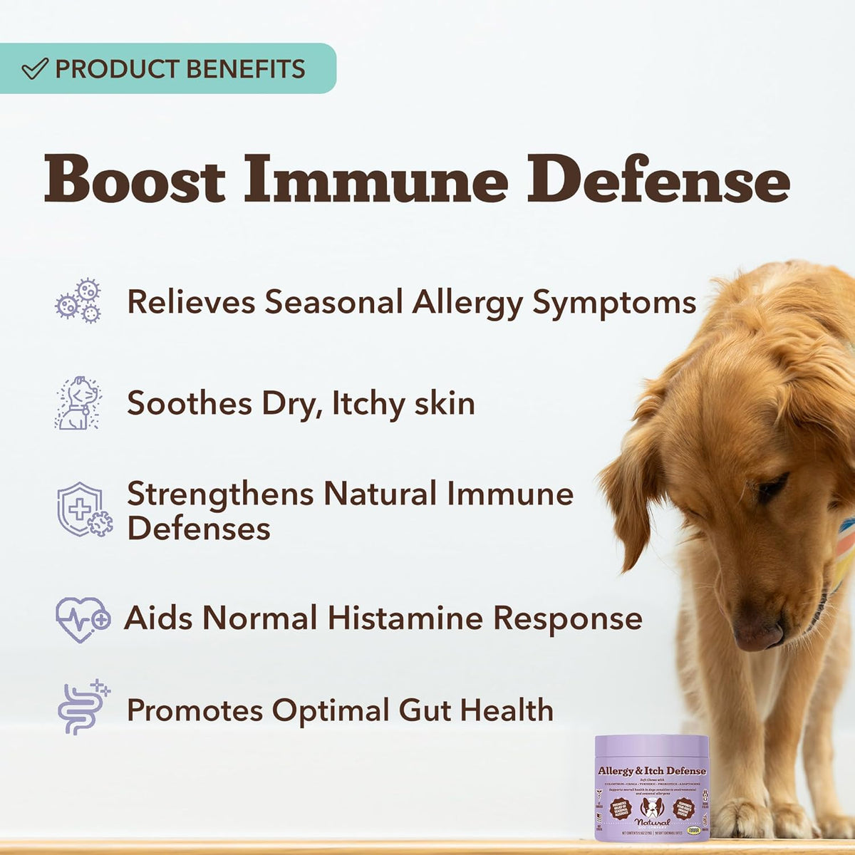 Natural Dog Company Allergy & Itch Defense Chews – Allergy Support for Dogs, Itch Relief, Skin