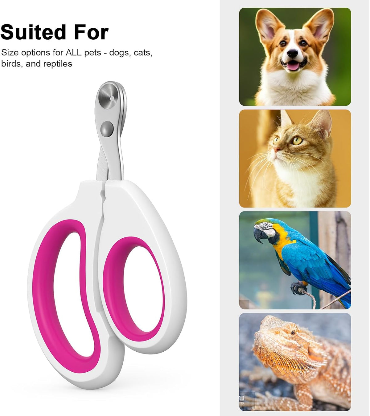 Cat Specific Nail Clipper, Avoiding Excessive Cutting, Suitable for Beginners. It Can Also be Used