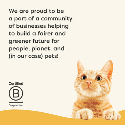 Applaws Vitality Wet Cat Food Paté, Natural Canned Cat Food, Wet Food for Cats with Added Vitamins